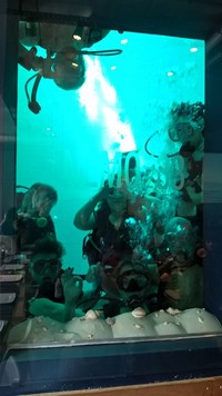 wp_20160320_13_54_42_pro.jpg